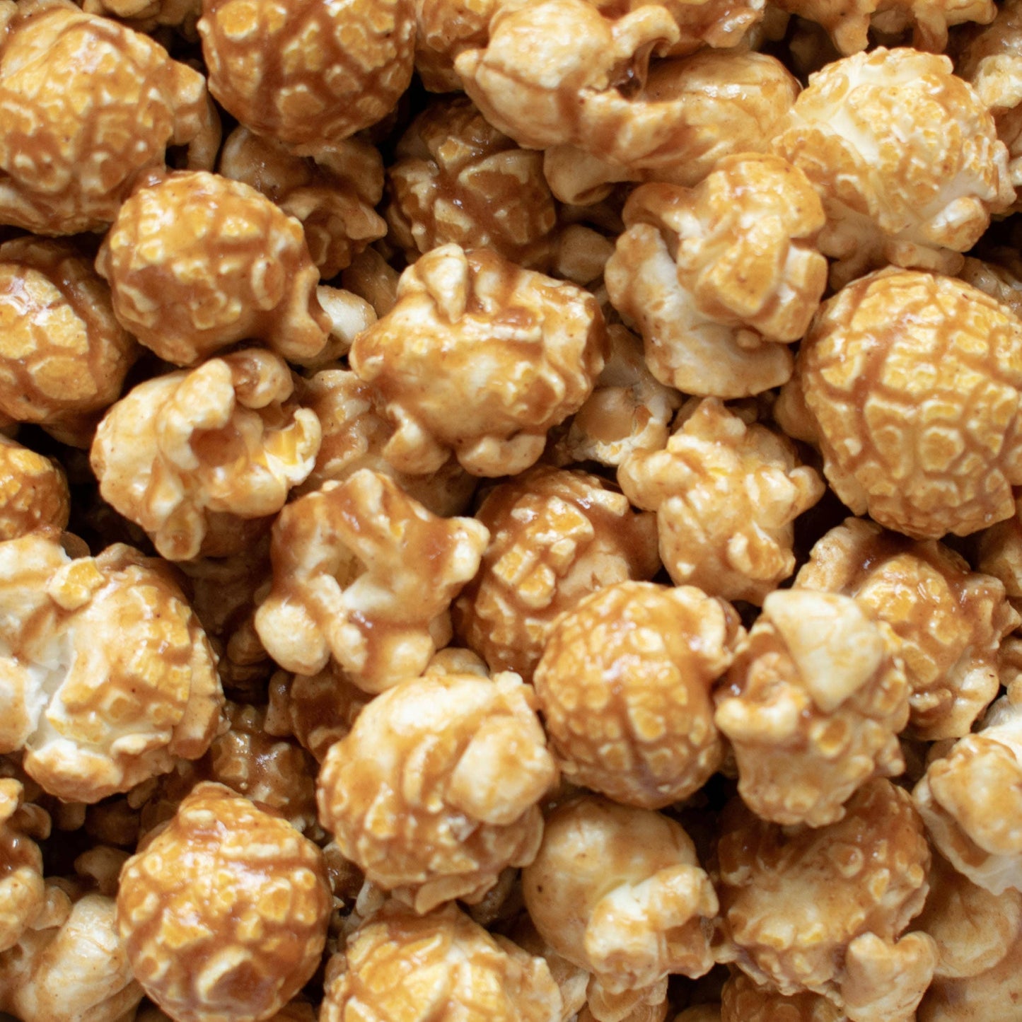 Vegan Gingerbread Gourmet Popcorn Snack Box